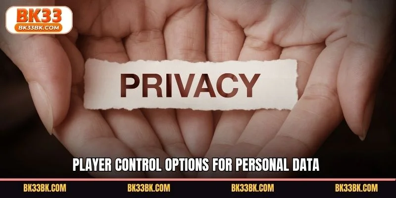 Player control options for personal data