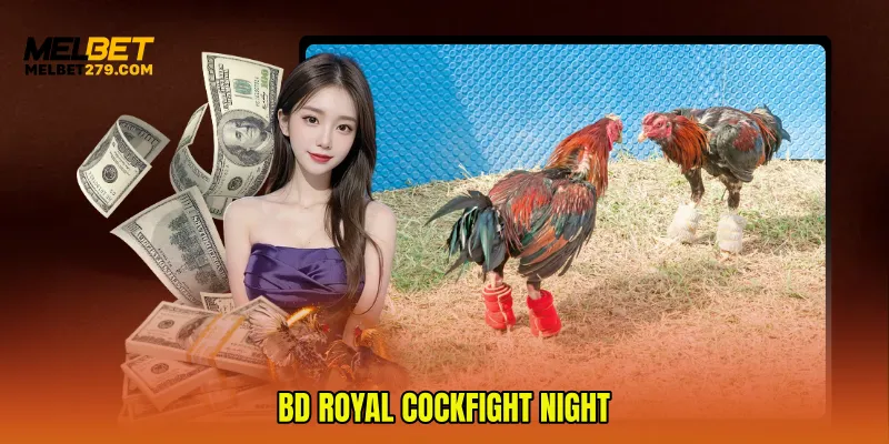 BD Royal Cockfight Night