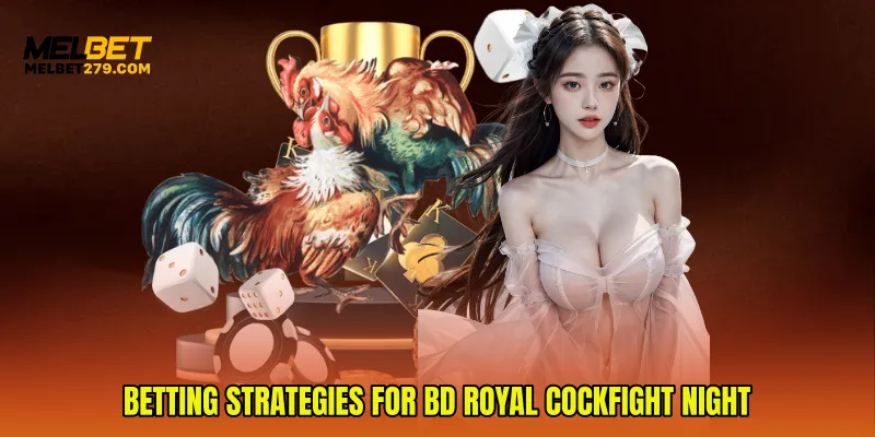 Betting Strategies for BD Royal Cockfight Night