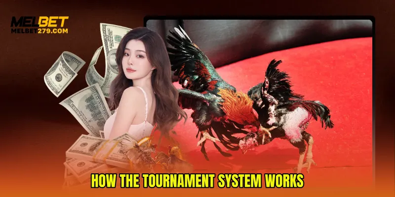 How the Tournament System Works
