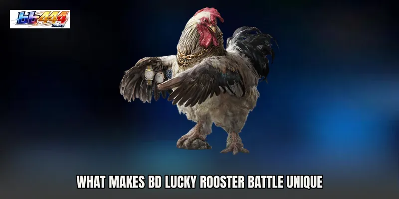 What Makes BD Lucky Rooster Battle Unique