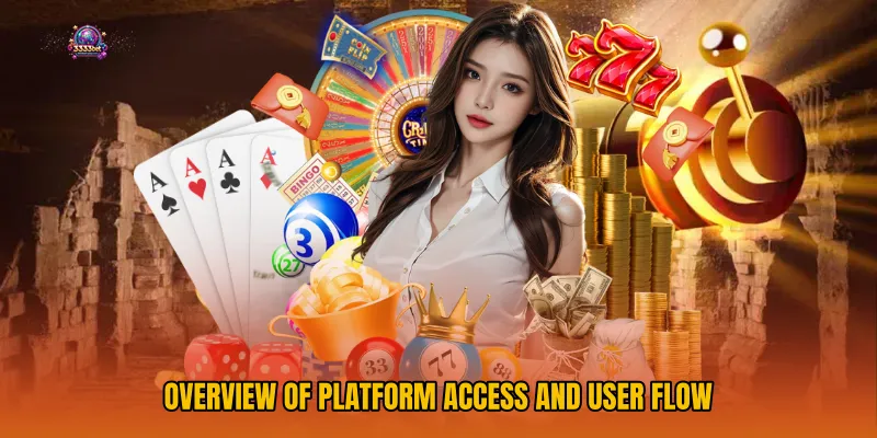 Overview of Platform Access and User Flow