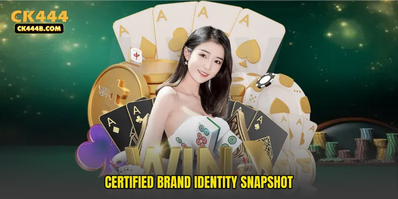 Certified Brand Identity Snapshot
