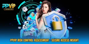 PPVIP Risk Control Assessment - Secure Access Insight