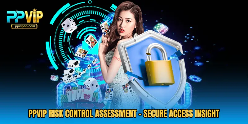 PPVIP Risk Control Assessment - Secure Access Insight