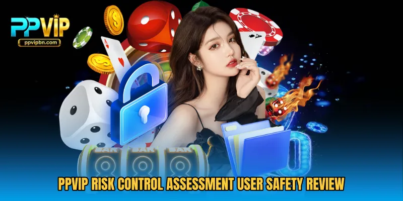 PPVIP Risk Control Assessment user safety review